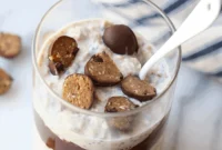 Moose Tracks Dreamy Oats
