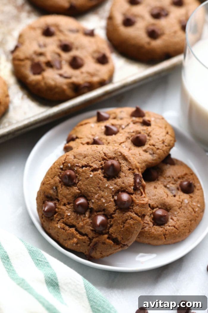 Close-up of a stack of Paleo Cashew Butter Cookies, highlighting their grain-free and oil-free texture, sweetened with coconut sugar, and resembling traditional chocolate chip cookies.