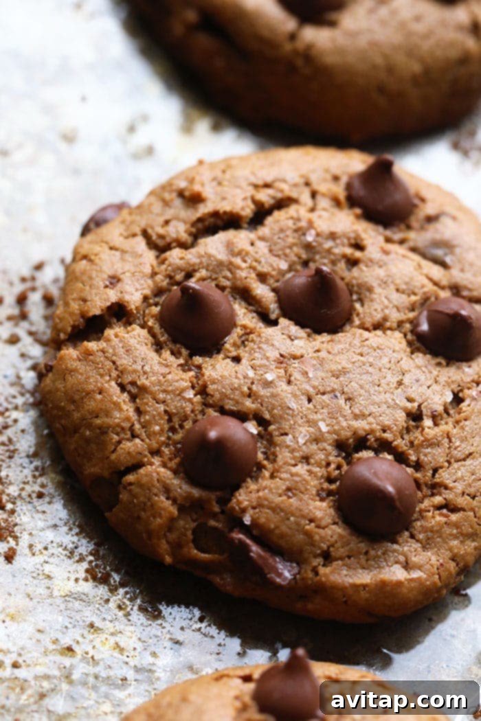 Healthy Cashew Butter Cookies, grain-free and oil-free, made with coconut sugar for sweetness, resembling classic Tollhouse chocolate chip cookies.