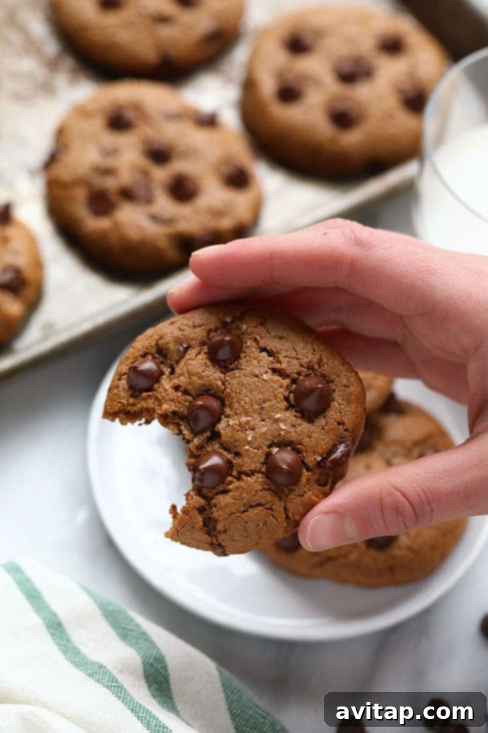 A tray of freshly baked Paleo Cashew Butter Cookies, grain-free and oil-free, made with coconut sugar, and tasting like classic Tollhouse cookies.