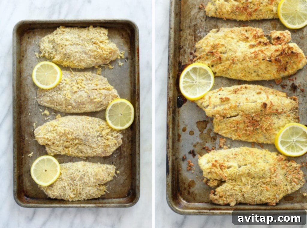 A visual comparison of raw, coated tilapia fillets alongside perfectly baked fillets, golden and crispy, ready to be served.