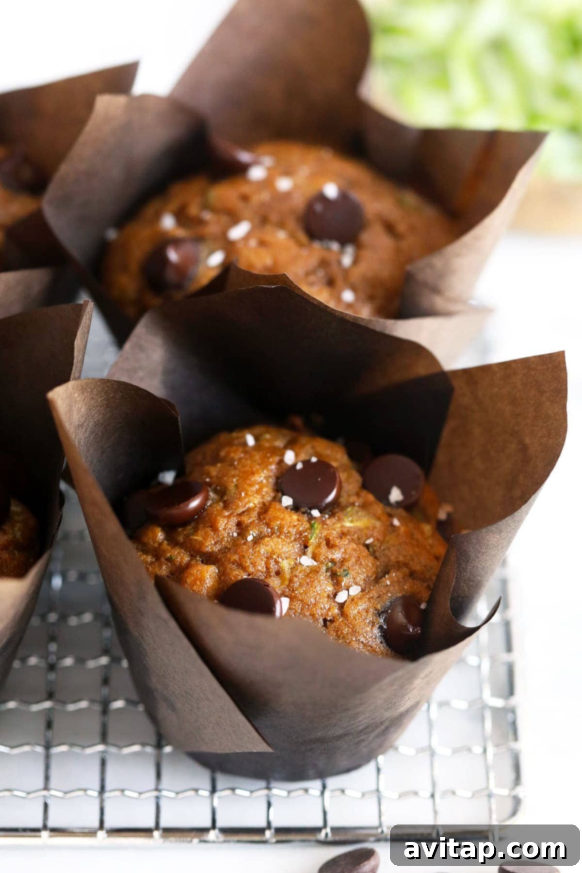 Effortless One-Bowl Zucchini Muffins 3 Baked zucchini muffins adorned with chocolate chips and a sprinkle of sea salt, arranged on a cooling rack.