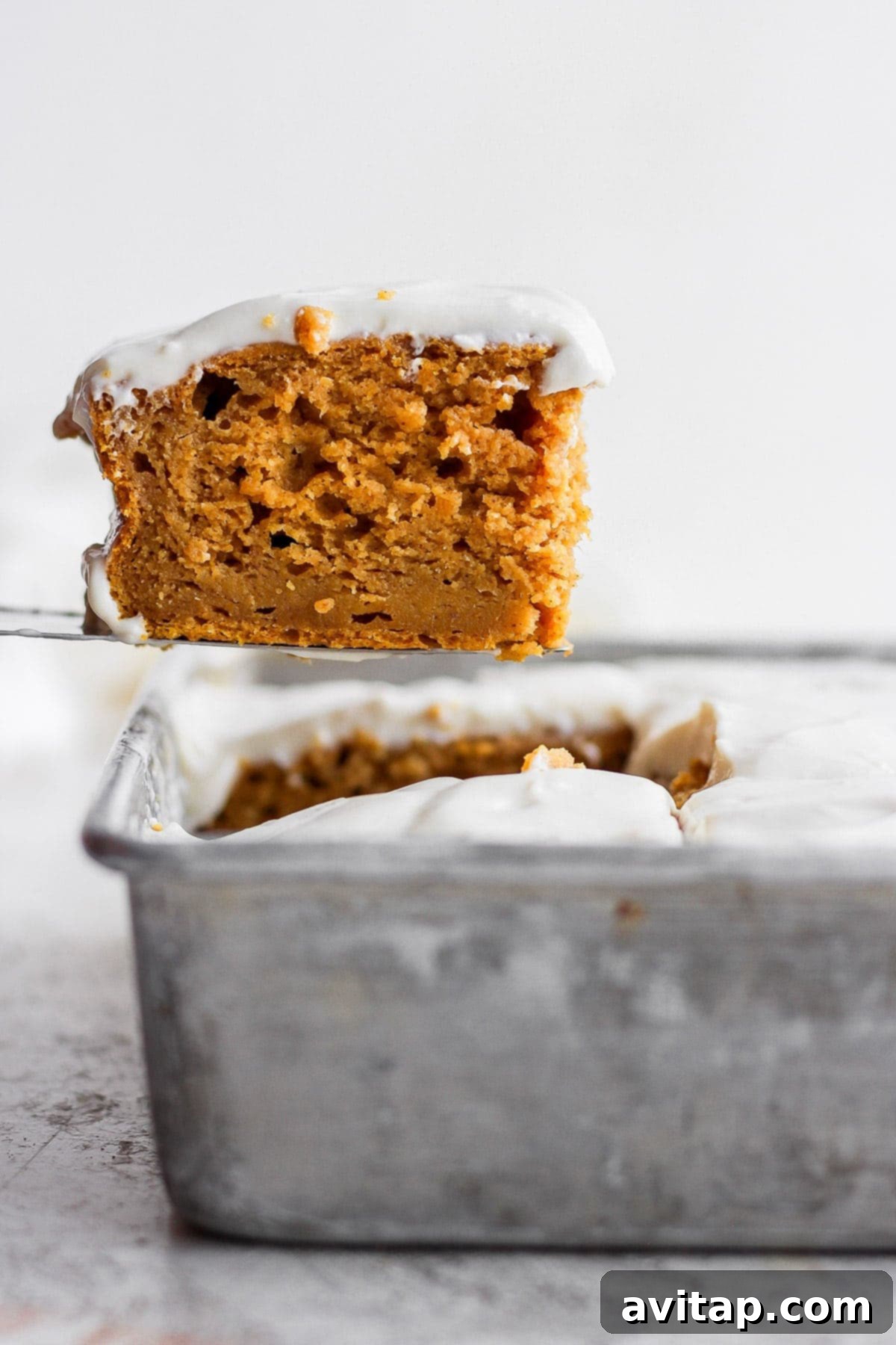 A slice of freshly baked pumpkin sheet cake being carefully lifted from the pan, revealing its moist interior.