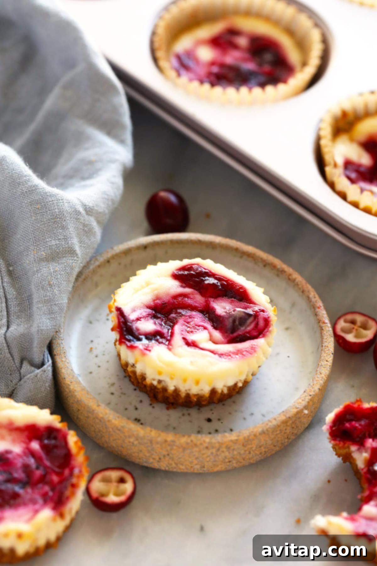 Cranberry cheesecake bites in a tin and on a plate, showcasing their festive appeal.
