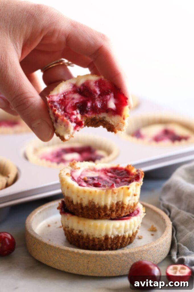 A cranberry cheesecake bite being held in someone's hand, showing its perfect individual portion.
