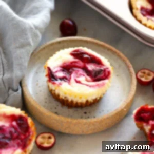 Cheesecake Bites
