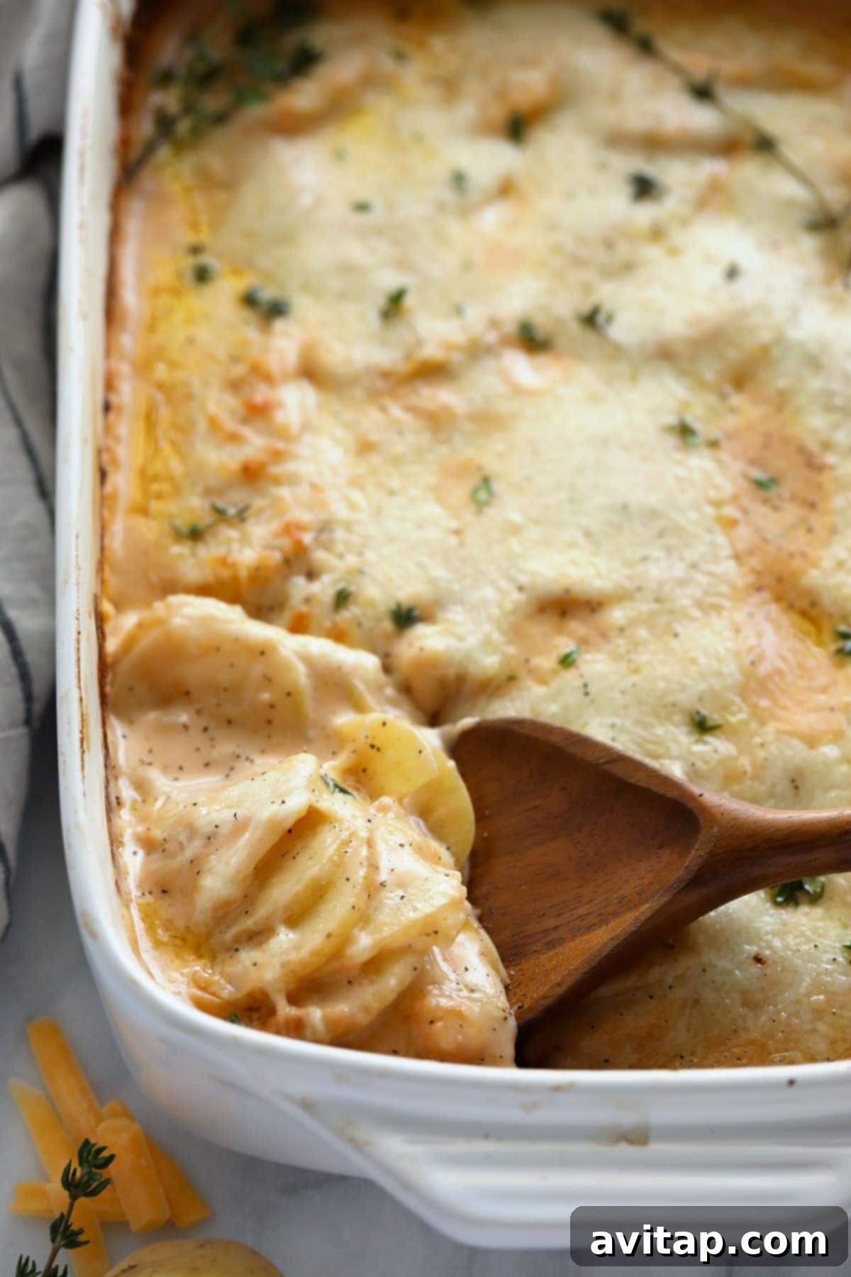 Golden-brown cheesy scalloped potatoes bubbling in a white casserole dish, garnished with fresh thyme.