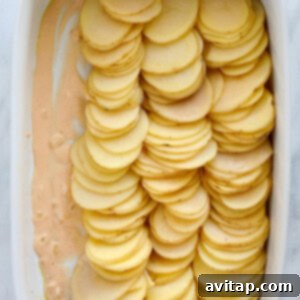 Thinly sliced potatoes arranged in rows in a baking dish, ready for cheese sauce.
