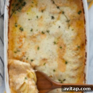 Golden-brown cheesy scalloped potatoes, fresh from the oven, garnished with vibrant green thyme sprigs.