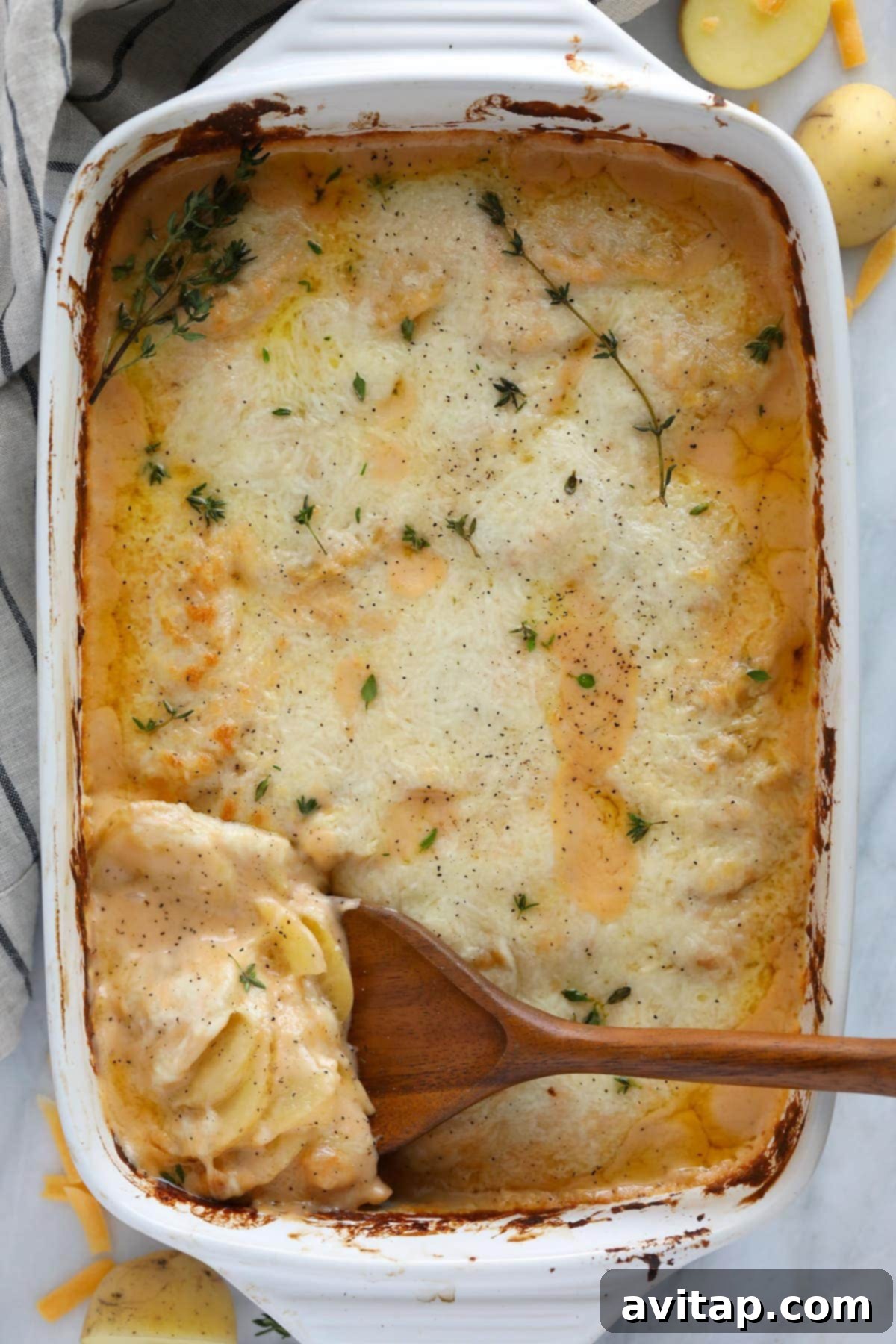 A close-up of a bubbling casserole dish filled with golden-brown cheesy scalloped potatoes, freshly baked and ready to serve.