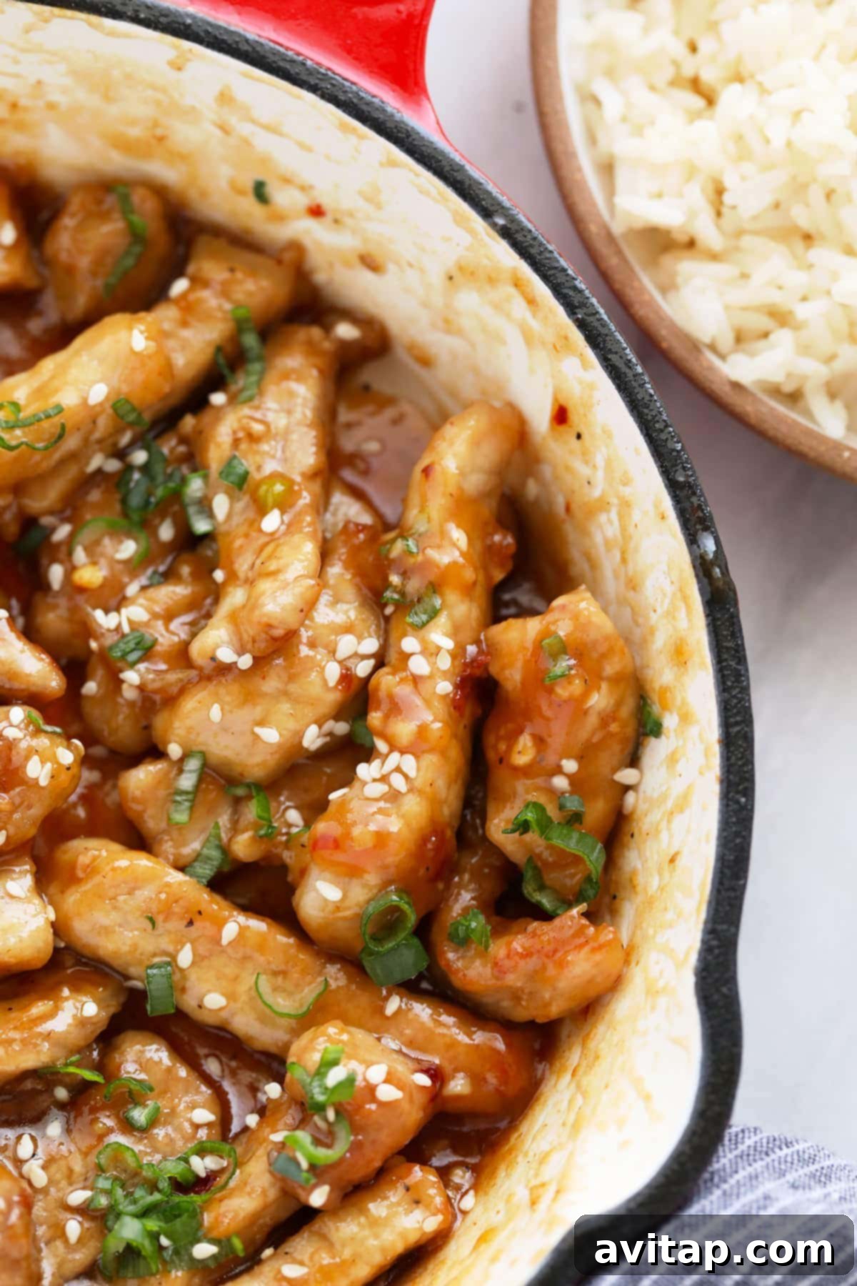 A close-up of Sticky Honey Pork, emphasizing its texture and appeal as a pork recipe.