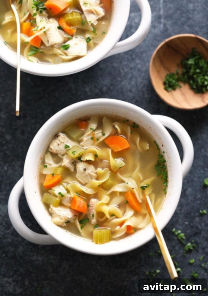 A comforting bowl of Slow Cooker Chicken Noodle Soup, perfect for any palate.