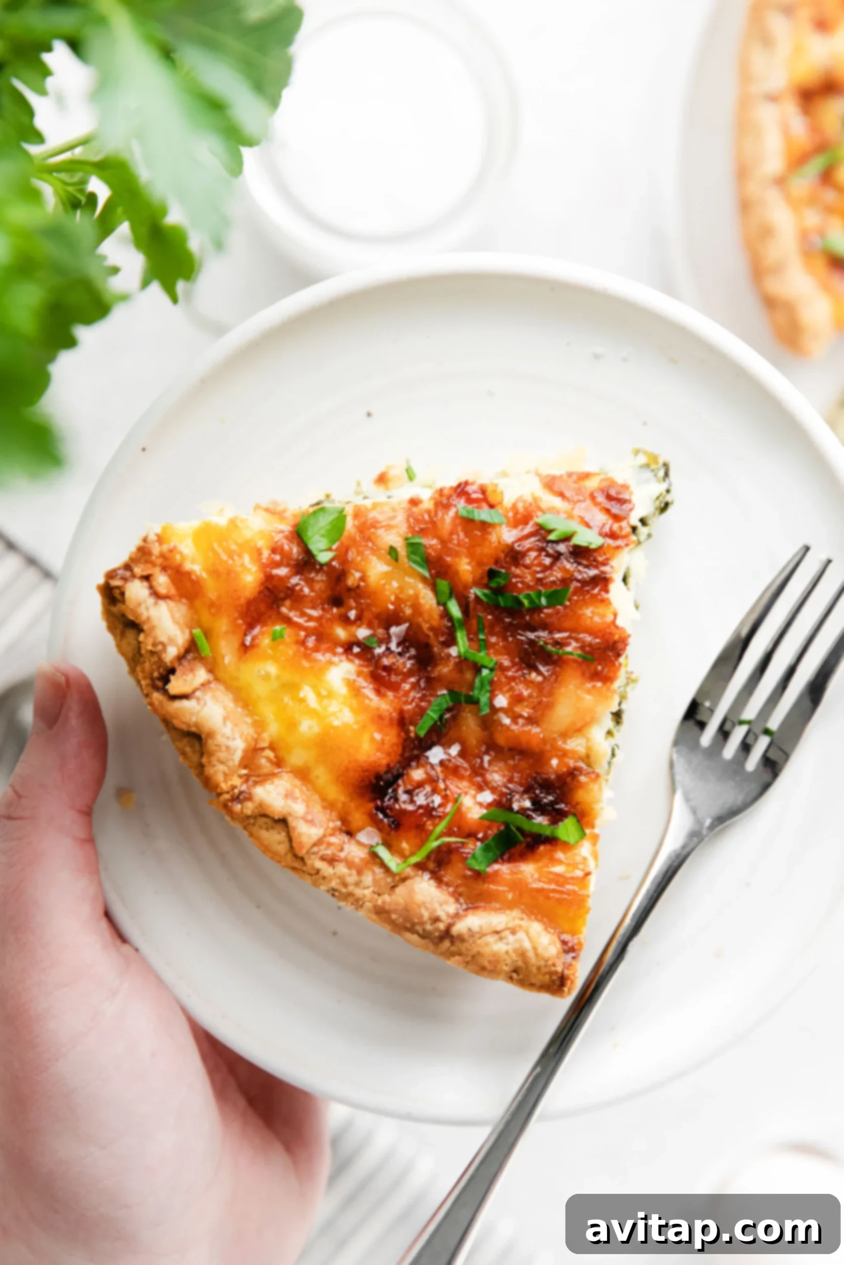 A golden-brown piece of spinach quiche on a pristine white plate, garnished and ready to serve.