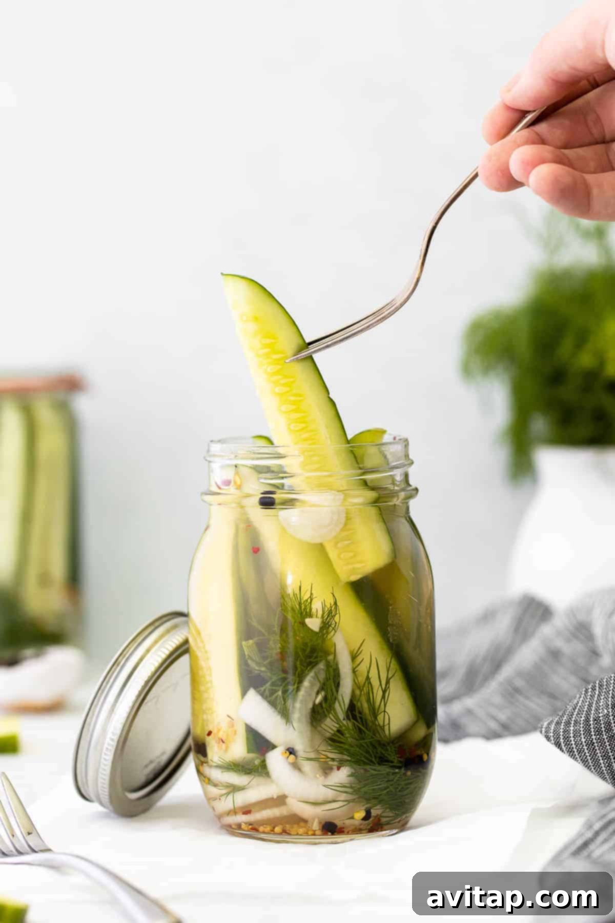 A refrigerator pickle on a fork, showcasing its crisp texture.