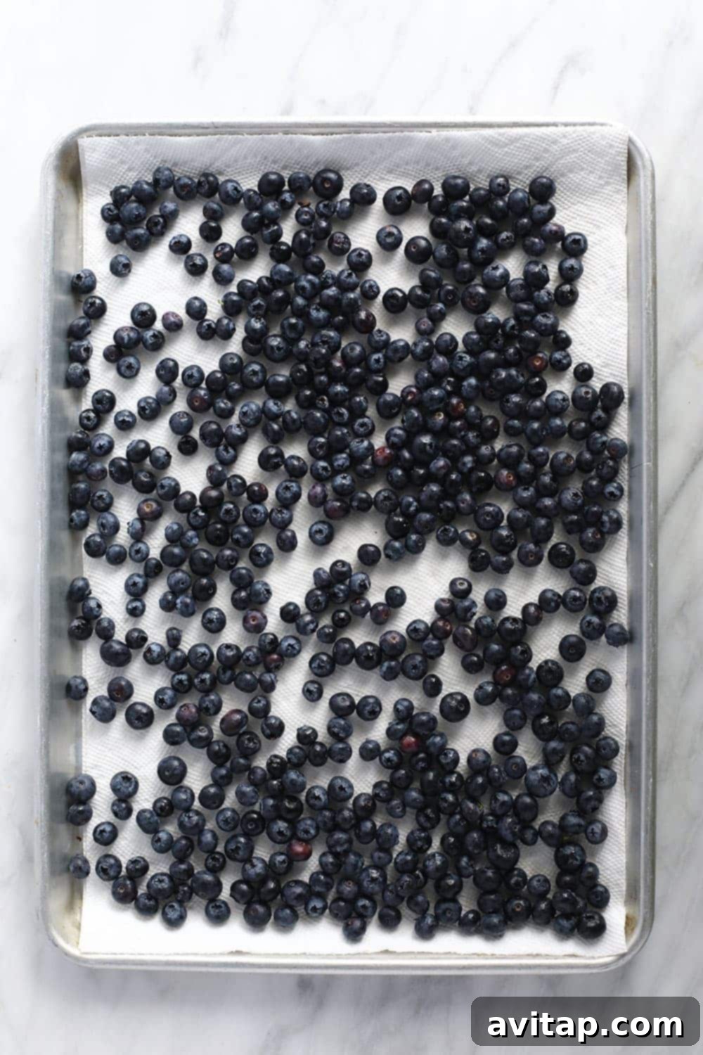 Clean, dry blueberries spread on a baking sheet for freezing. blueberries on baking sheet