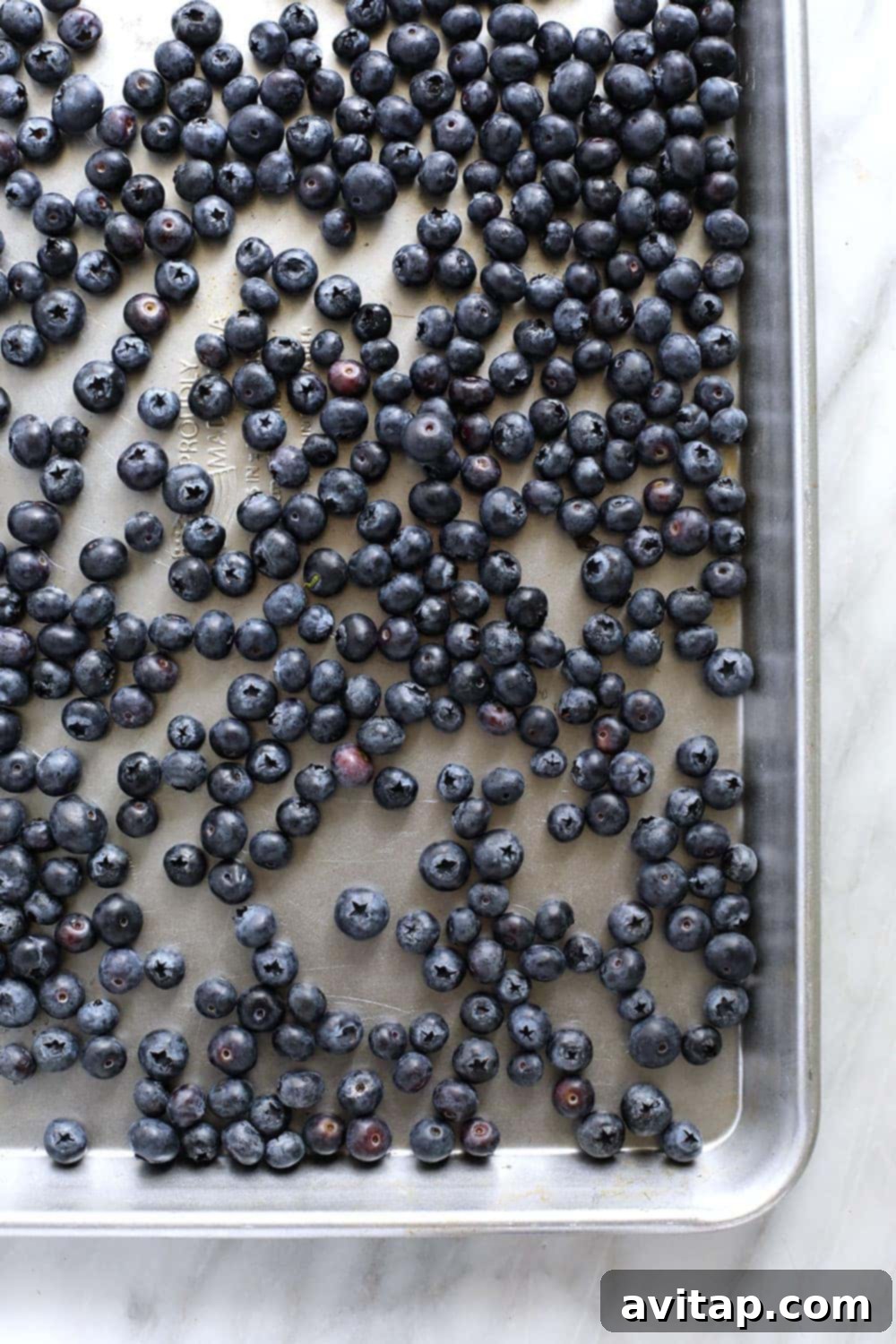 Individually frozen blueberries ready for transfer to freezer bags. blueberries on baking sheet