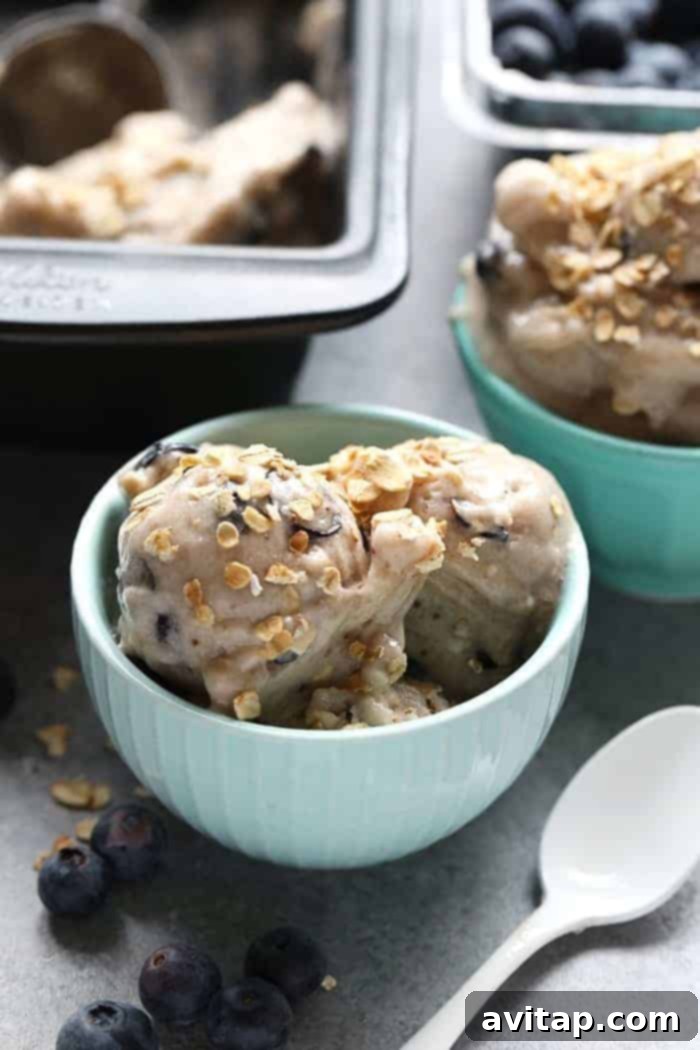 Vegan blueberry muffin banana soft serve in a bowl. soft serve in bowl