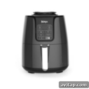Modern Air Fryer Appliance