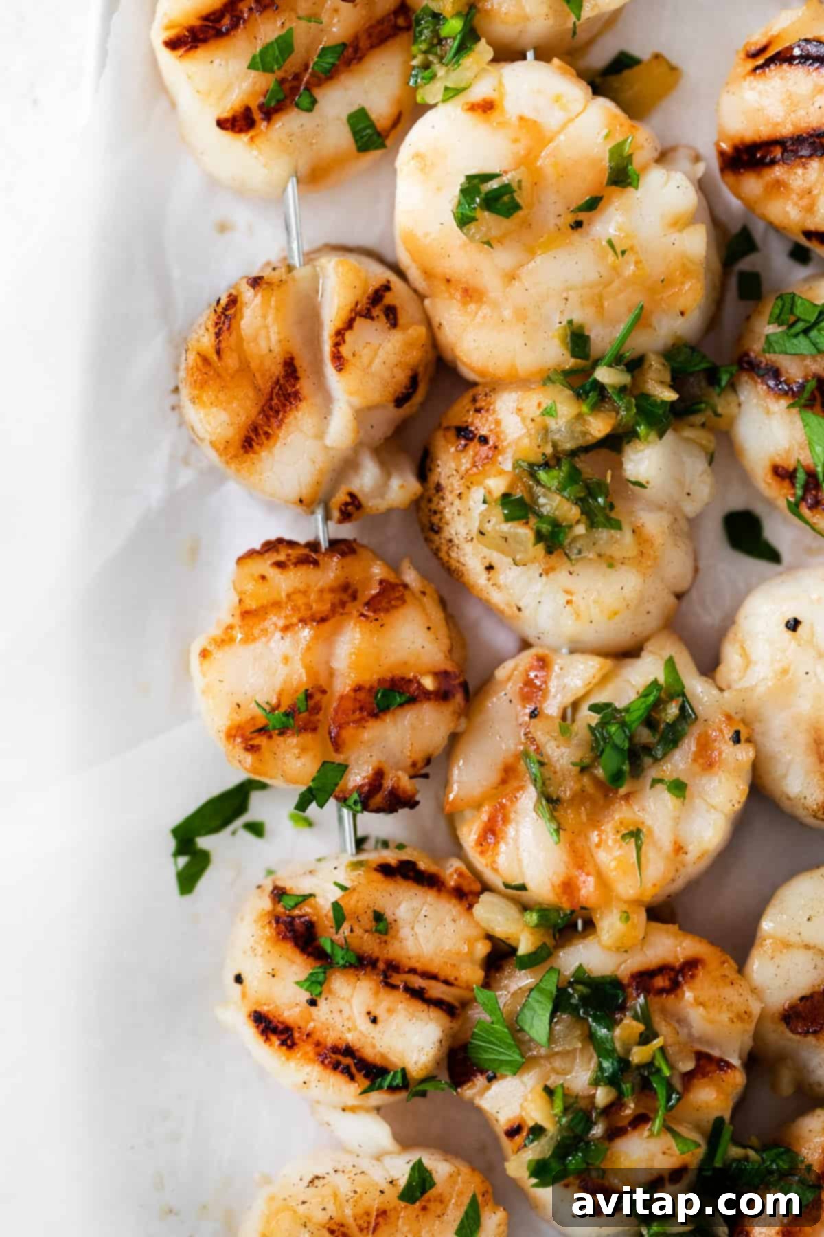 Beautifully plated grilled scallops with white wine sauce and fresh garnish, ready to serve.
