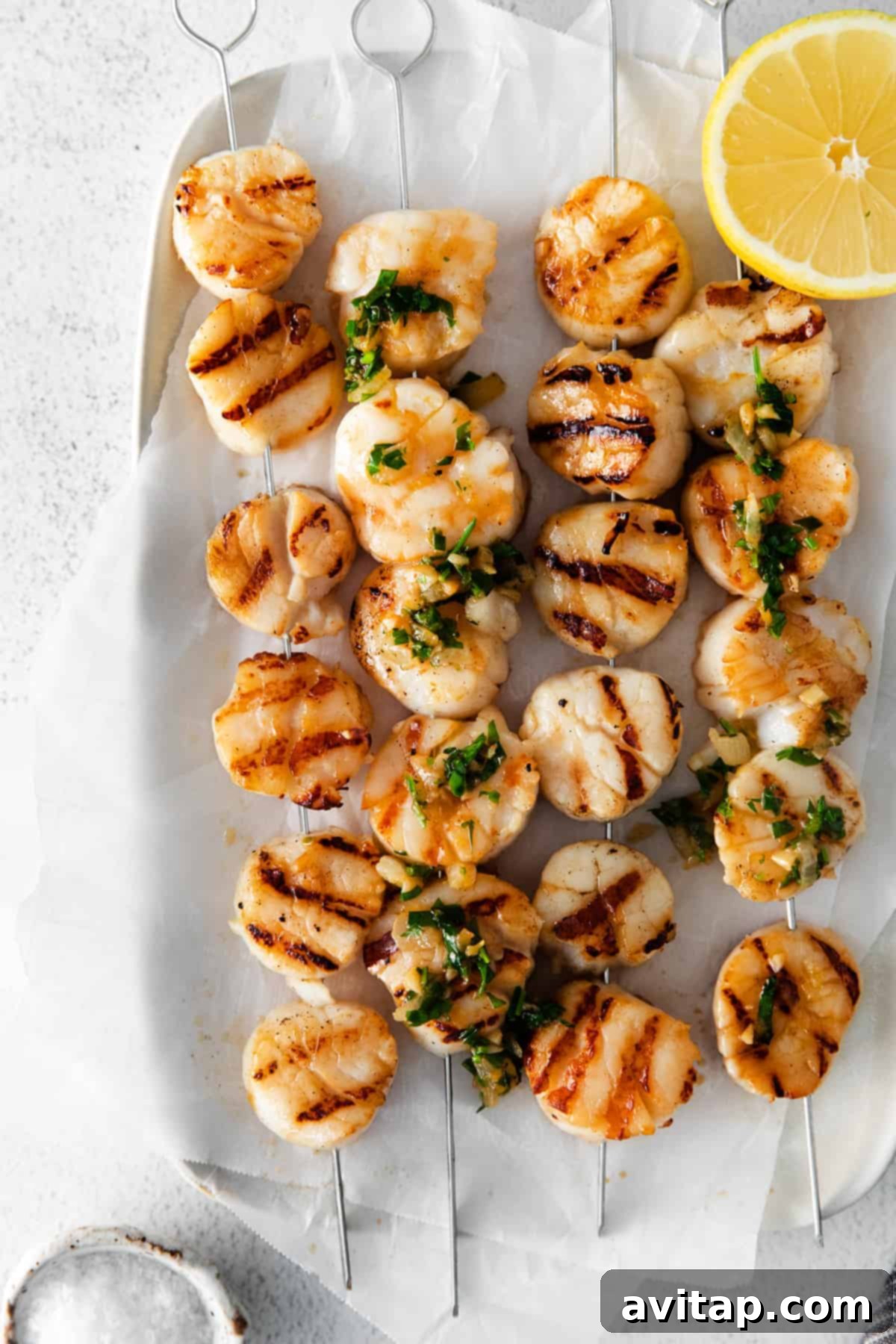 A close-up of grilled scallops served on a plate with fresh garnish.