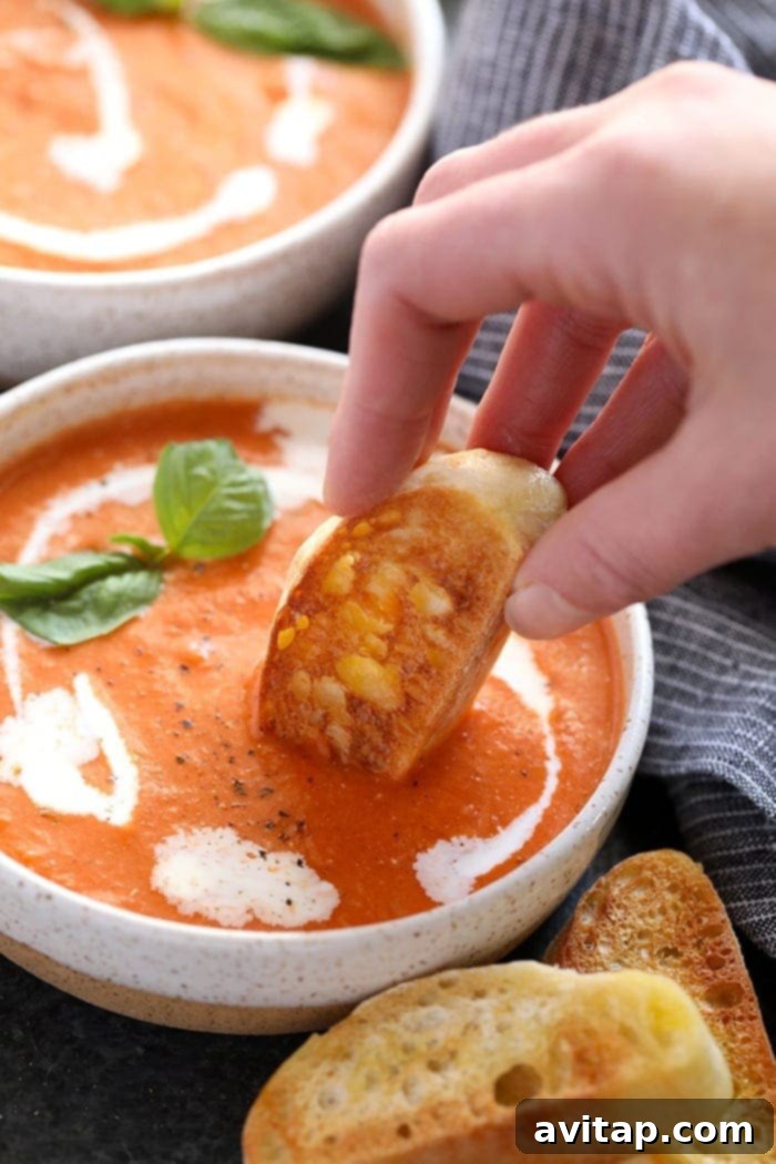 Creamy 20 Minute Tomato Bisque 2 A close-up of a single bowl of rich, healthy tomato bisque soup, garnished with a generous swirl of cream and a vibrant sprig of fresh basil, showcasing its creamy texture and inviting appeal.