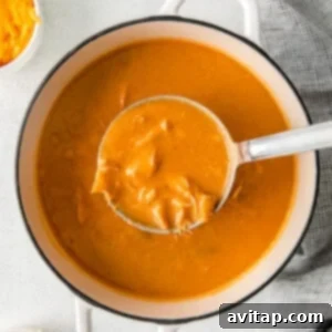 a spoonful of chicken enchilada soup in a white bowl.