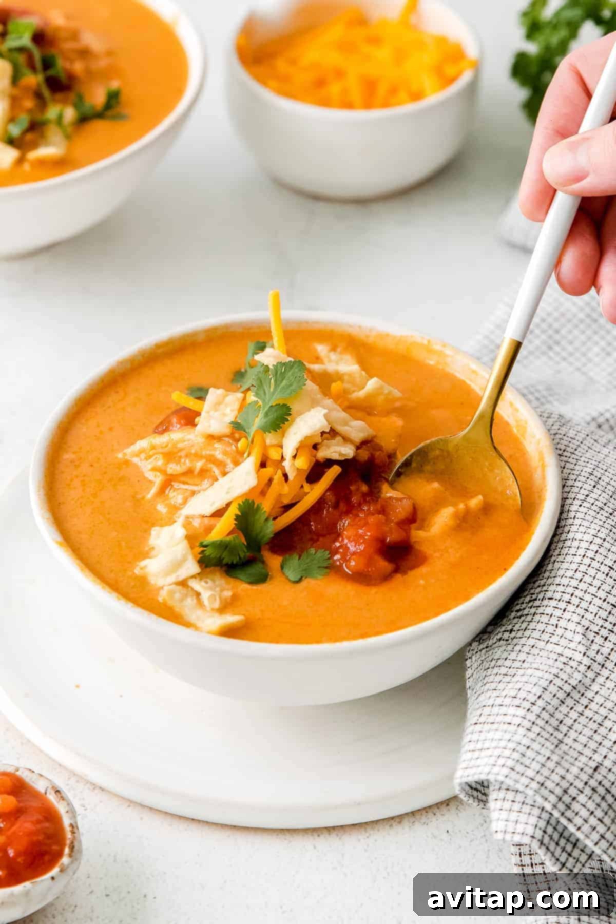 Chilis Hearty Chicken Enchilada Soup 7 A spoon dipping into a bowl of Chili's Chicken Enchilada Soup, topped with fresh cilantro, salsa, and tortilla strips.