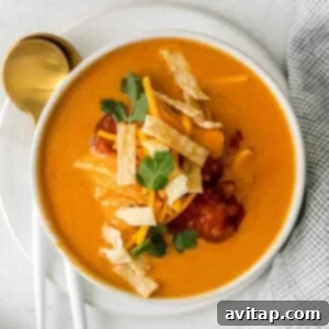 Chicken enchilada soup in a bowl.