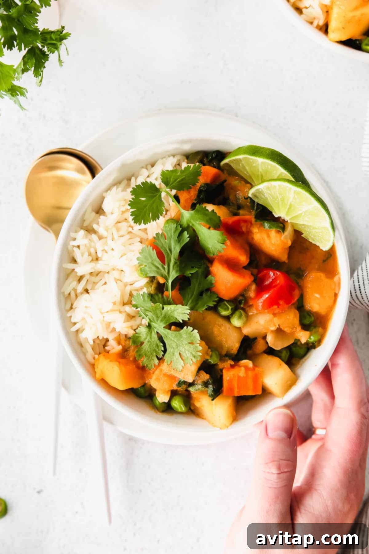 A delicious bowl of pumpkin curry, garnished with fresh cilantro, ready to be enjoyed as a healthy and flavorful meal.