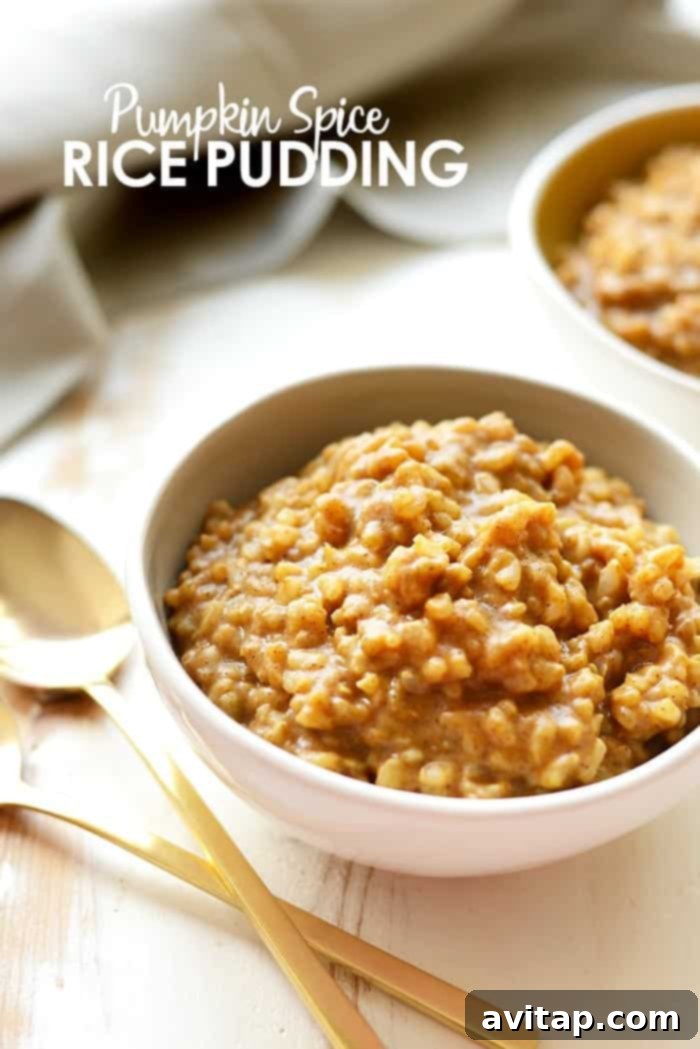 A bowl of creamy pumpkin rice pudding, garnished with pumpkin seeds and a drizzle of maple syrup, sits on a rustic wooden surface, exuding warmth and autumnal charm. Perfect for a healthy breakfast or dessert.