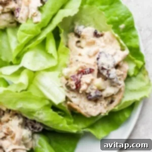 Artfully arranged cranberry turkey lettuce wraps on a white plate, showcasing a healthy and appealing meal.