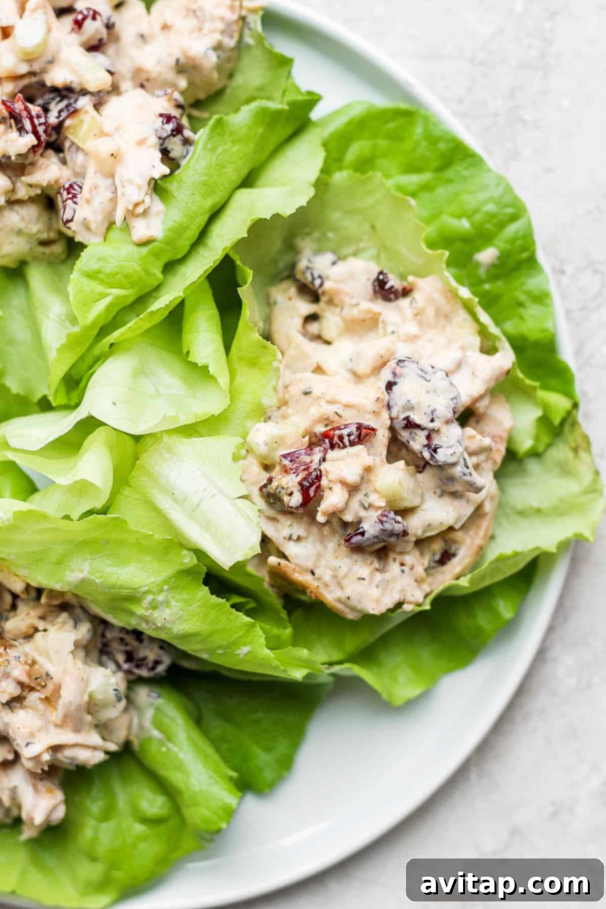 A beautifully plated serving of turkey salad, garnished with fresh herbs and accompanied by crisp lettuce and healthy crackers.