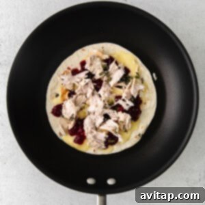 A Thanksgiving leftover quesadilla with turkey and cranberries.