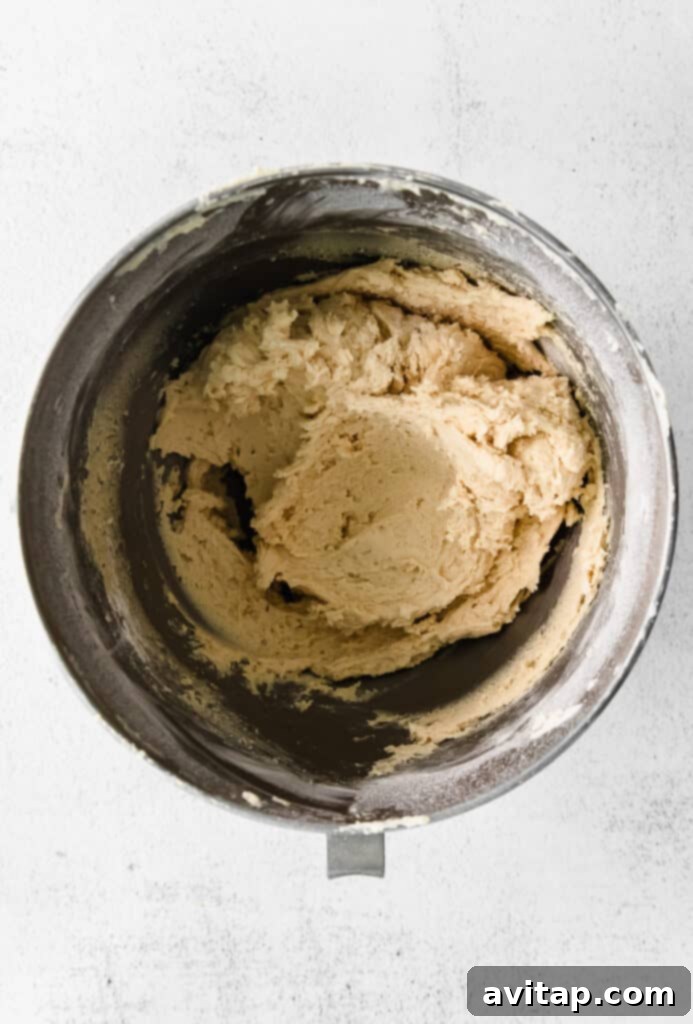 Snickerdoodle cookie dough in a mixing bowl, ready for chilling.