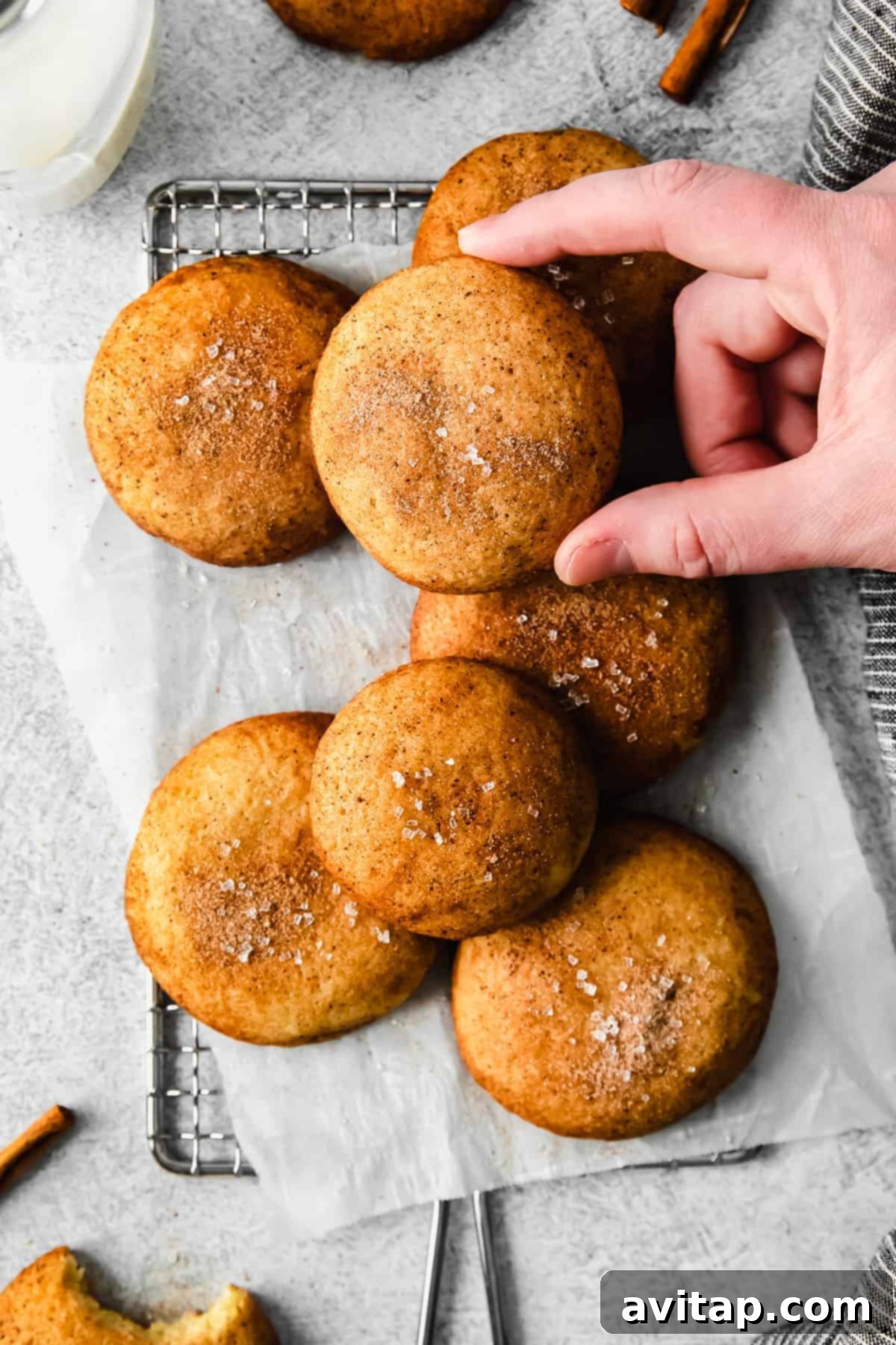 A hand holding a perfectly baked snickerdoodle cookie.