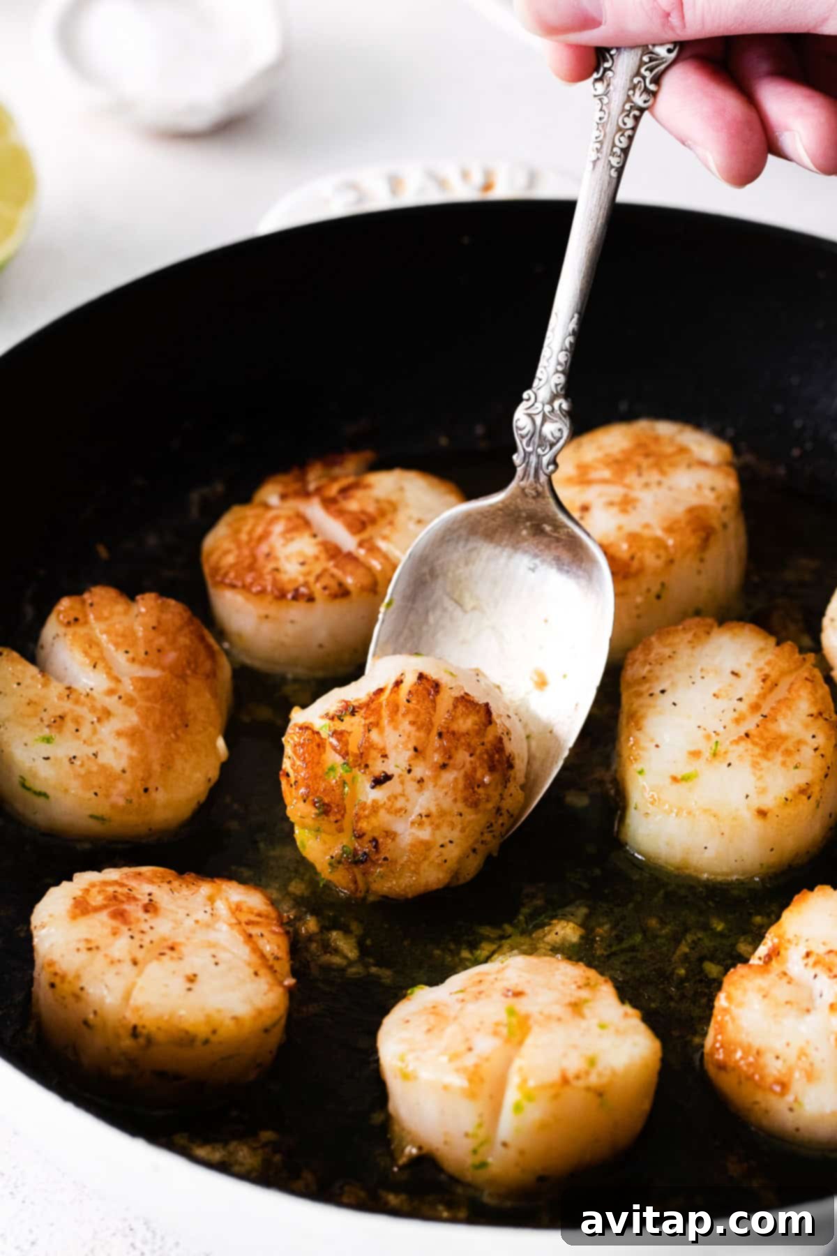 Pan seared scallops in a cast iron pan, ready to be served. 