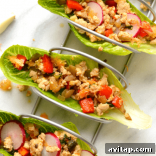 Quick Thai Chicken Lettuce Cups 2 A beautifully presented plate of Thai lettuce wraps with chicken and radishes, capturing the freshness of the dish.