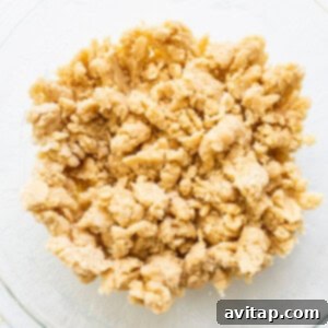 Crust ingredients being mixed in a bowl, forming coarse crumbs.