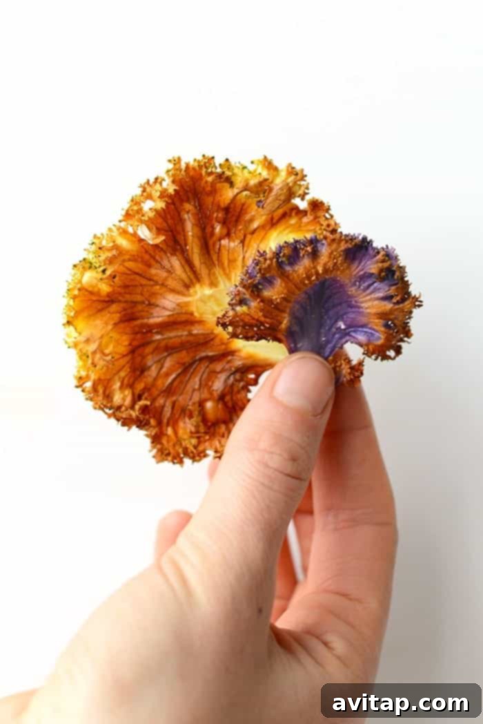 Close-up of a crispy kale chip