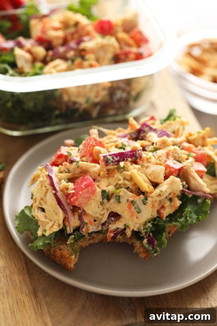 An appetizing open-faced sandwich featuring a generous portion of Thai Peanut Chicken Salad piled high on a slice of golden-brown toast, garnished with fresh cilantro and crushed peanuts, ready for a delicious meal.