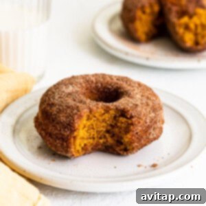 A single, perfectly golden-brown baked pumpkin donut, coated in sparkling cinnamon sugar, presented on a white plate, ready to be enjoyed.