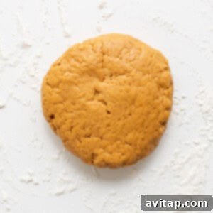 dog treat cookie dough.