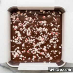No-Bake Peppermint Fudge 12 Freezer fudge topped with peppermints.
