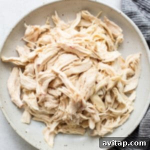 Shredded cooked chicken on a plate, ready to be added back to the soup.