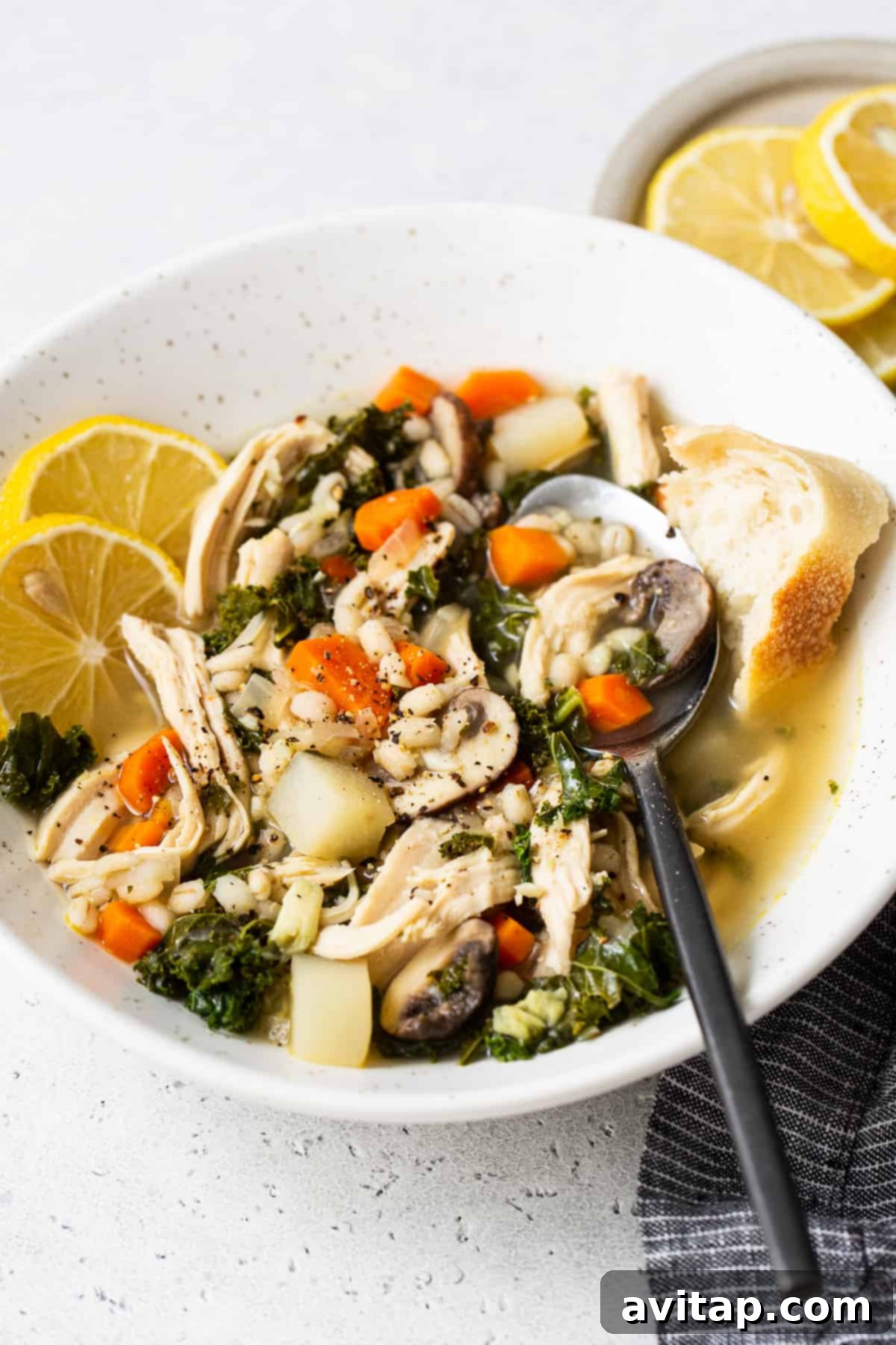 The Perfect Chicken Soup 9 A beautifully presented bowl of Ultimate Chicken Soup, garnished and ready for serving.