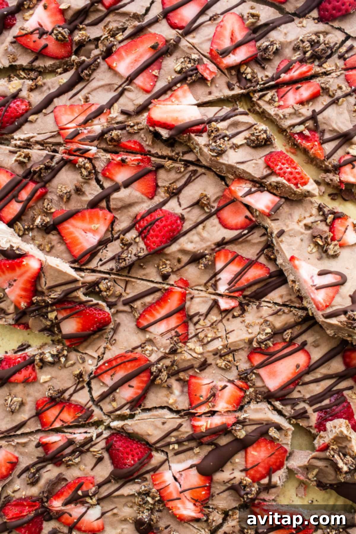 Pieces of chocolate strawberry frozen yogurt bark cut into irregular chunks, artfully arranged on a plate.