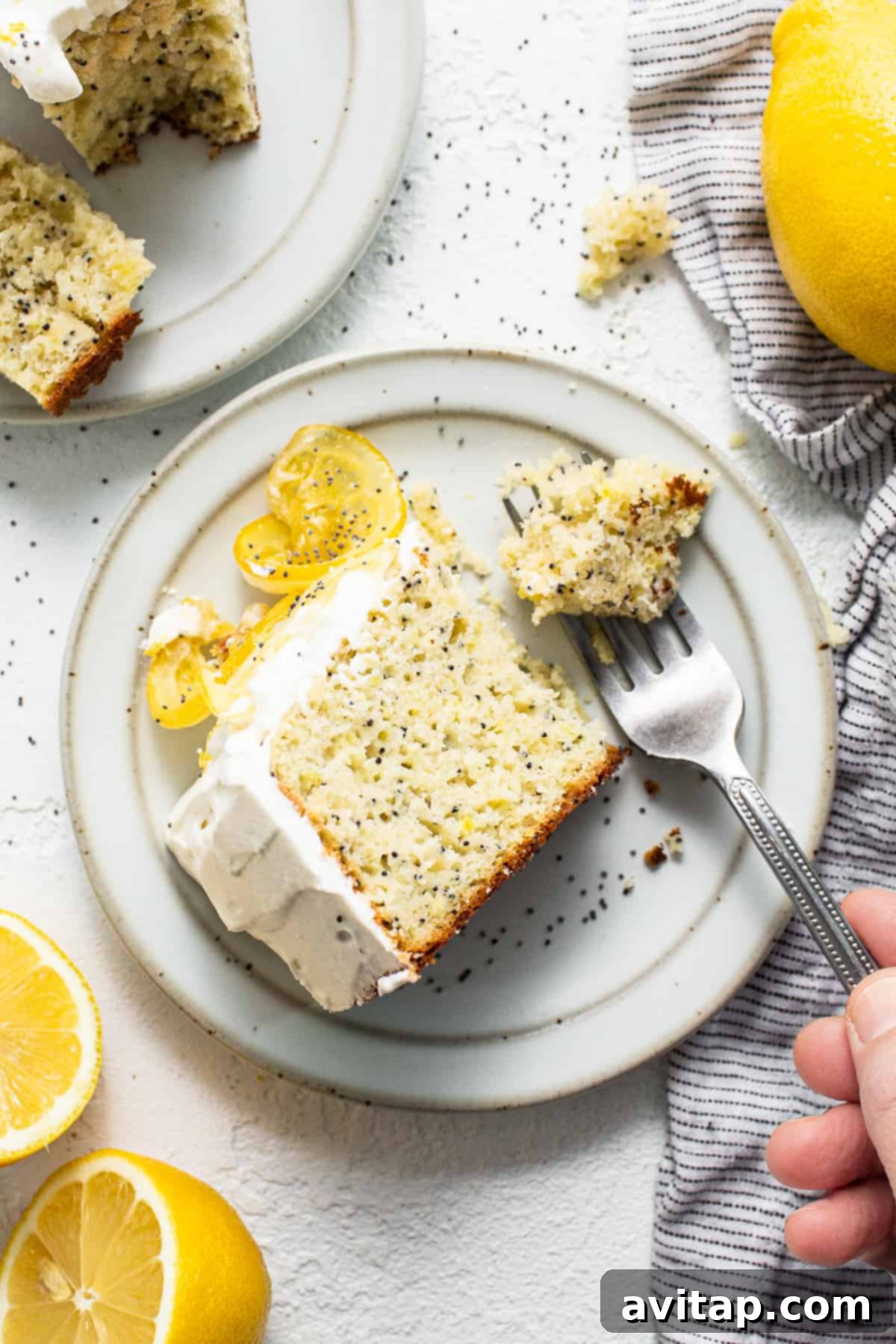 Lemon poppy seed cake: A fluffy, moist cake with lemon whipped cream frosting and candied lemon slices. Slice of lemon poppy seed cake on a plate with a fork, ready to be enjoyed.
