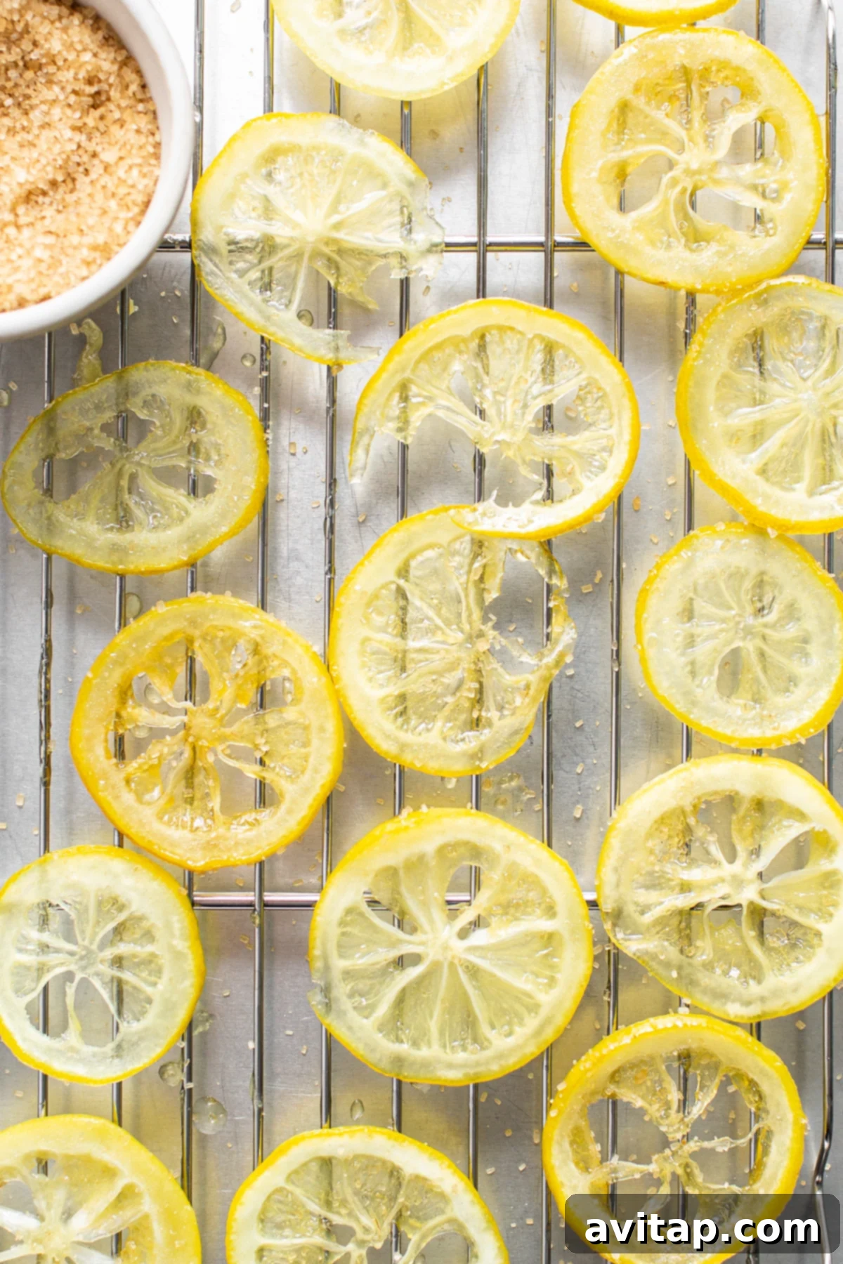 Homemade candied lemon slices cooling on a rack. Candied lemon slices on a wire baking rack, glistening and ready for garnish.
