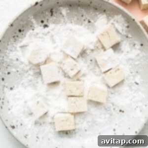 Tofu cubes on a plate with powder on it.