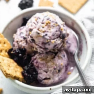 A vibrant bowl of blackberry cheesecake cottage cheese ice cream with fresh blackberries.